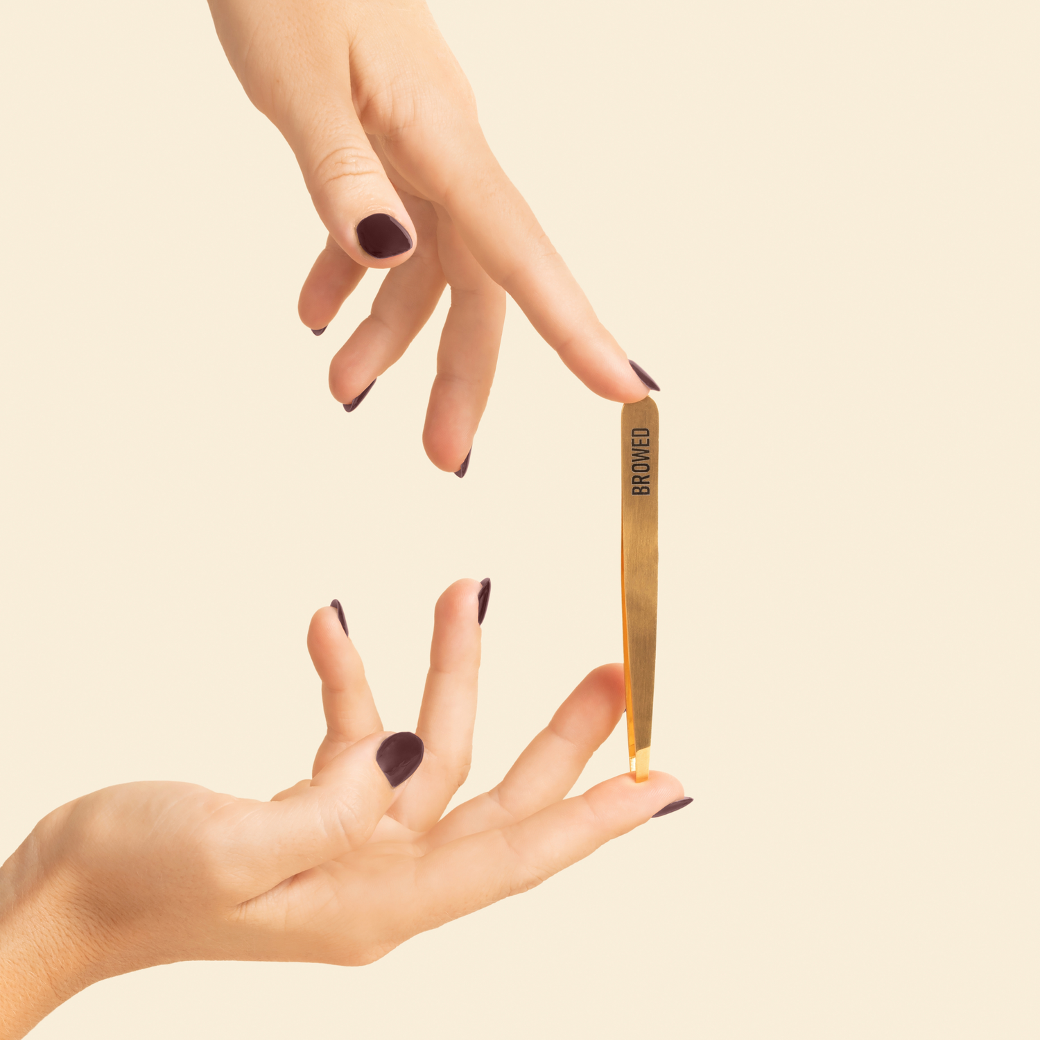 Browed - Gold Slanted Tip Tweezers