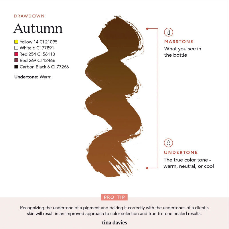 Tina Davies - I Love Ink BROW Pigment - Autumn 15ml