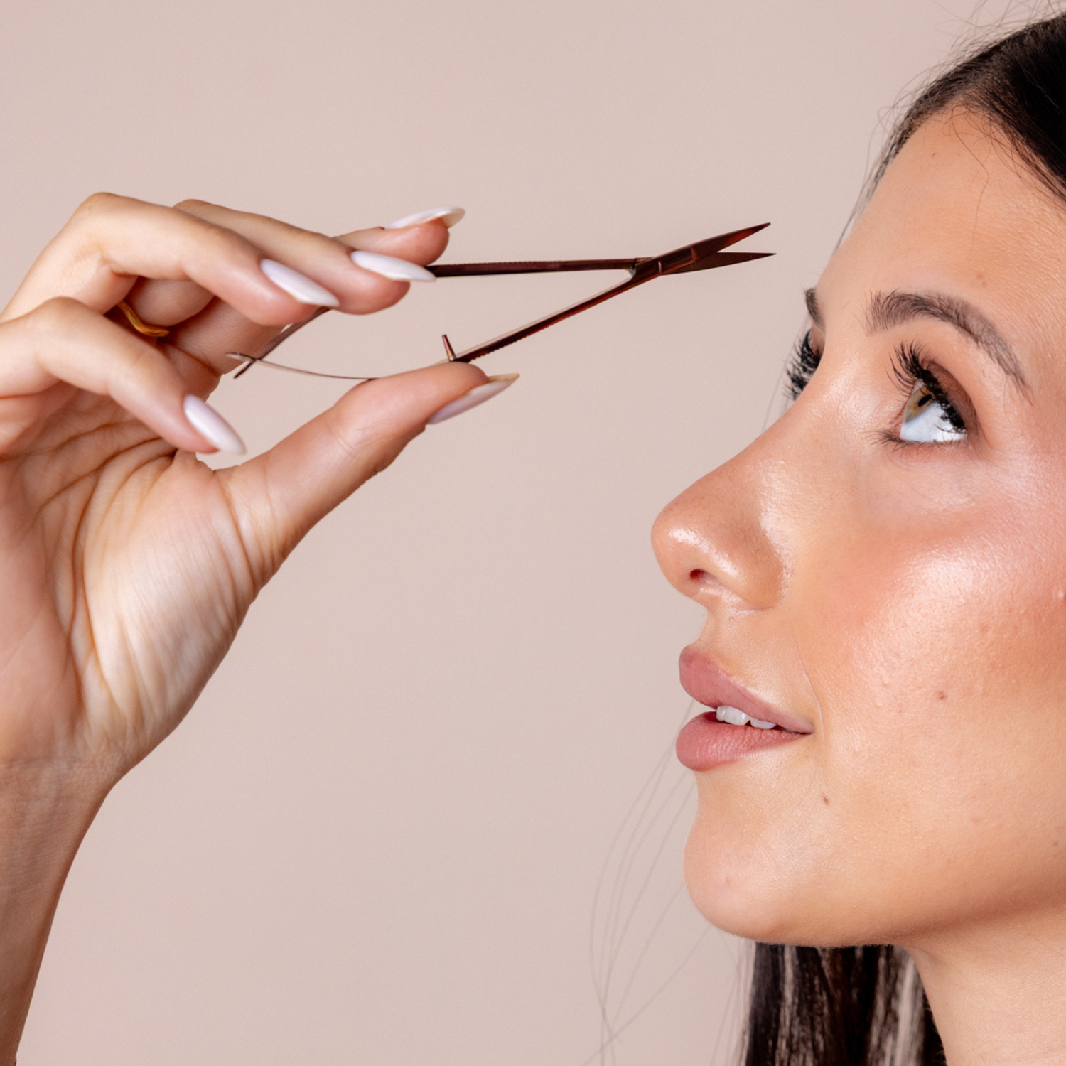 Browed - Chocolate Straight Scissors