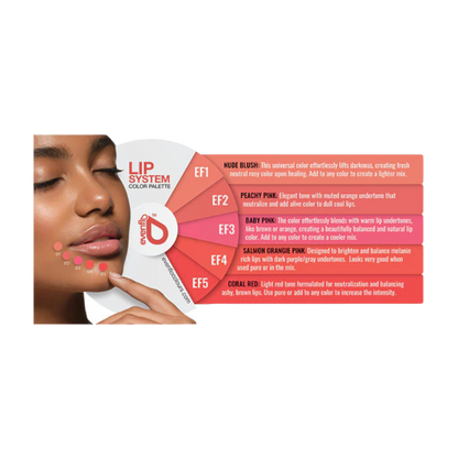 Evenflo - Lip Pigment LUXE System Set (5 x 15ml)