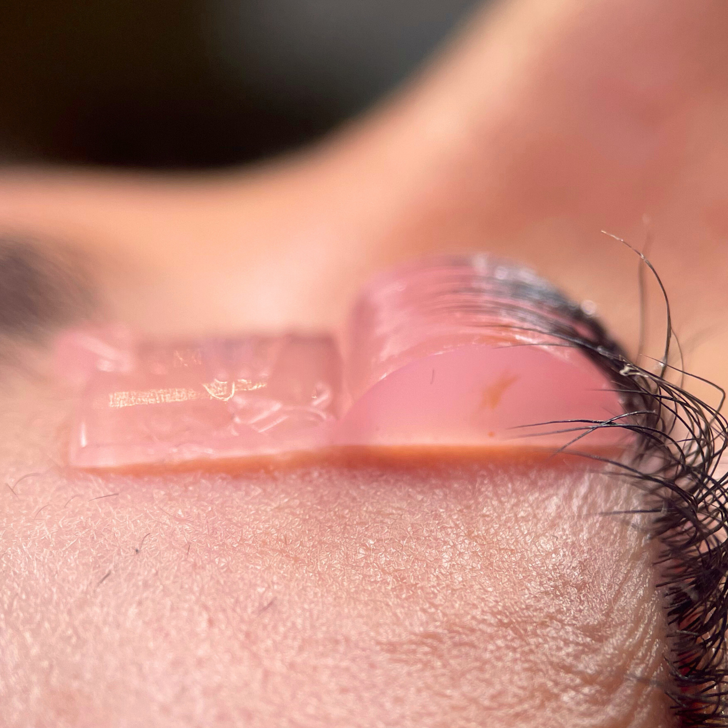 Cat Lash Lift Shields (Curl)