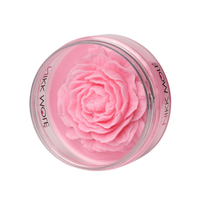 Nikk Molé - Brush and Sponge Cleaning Soap