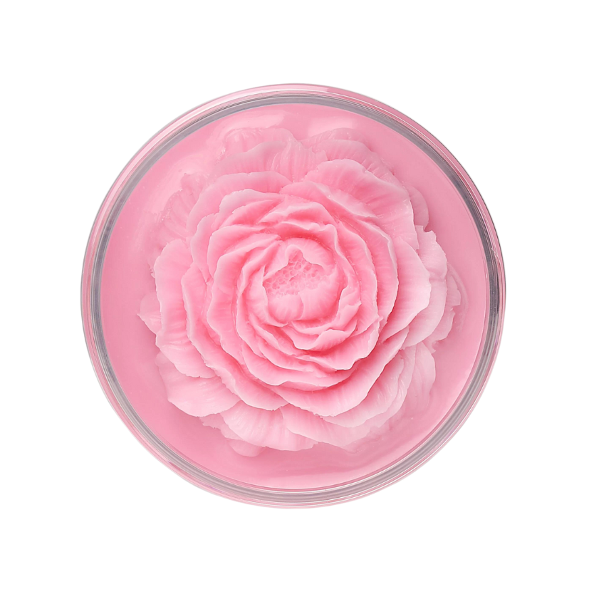 Nikk Molé - Brush and Sponge Cleaning Soap